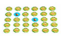 The Jungle Memory  Card Game for Kids.